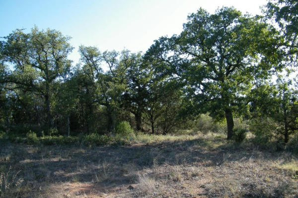 LOT 6 ROCKY HOLLOW ROAD, BURNET, TX 78611, photo 3 of 29