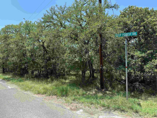TBD SHADY FOREST, GRANITE SHOALS, TX 78654 - Image 1