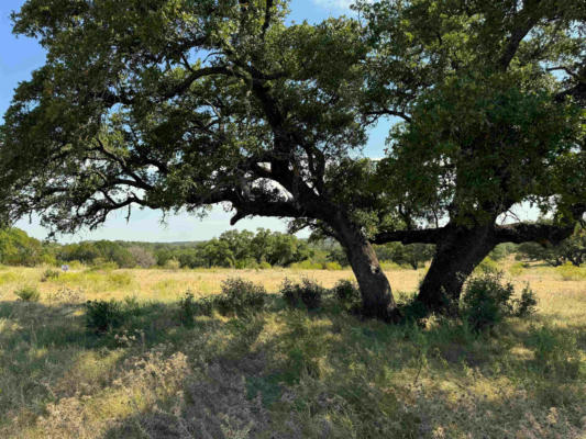 ROCKY HOLLOW LOT 90, SAN SABA, TX 76877 - Image 1