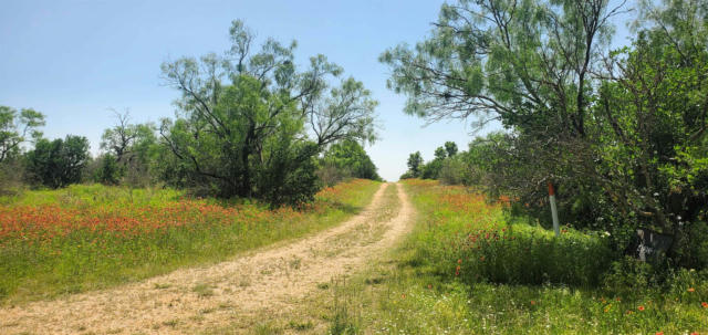 421 LLANO RIVER RD, MASON, TX 76856, photo 2 of 24