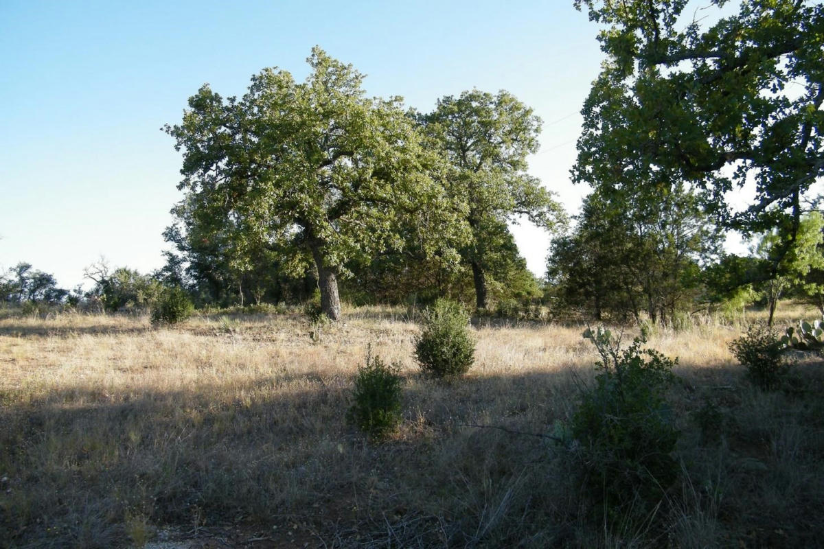 LOT 6 ROCKY HOLLOW ROAD, BURNET, TX 78611, photo 1 of 29