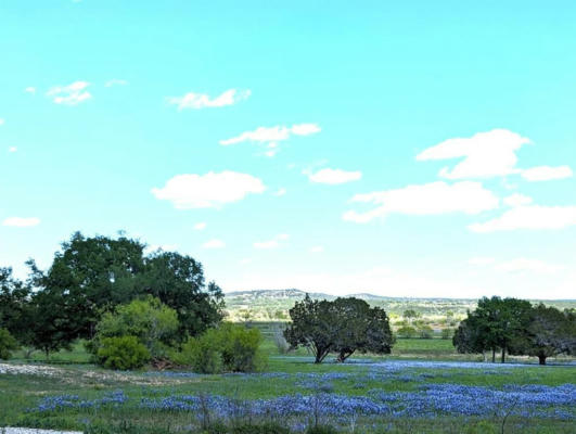1700 COUNTY ROAD 402, MARBLE FALLS, TX 78654, photo 4 of 28