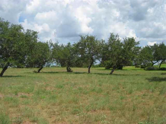 2928 CLIFF OVERLOOK, SPICEWOOD, TX 78669, photo 2 of 6