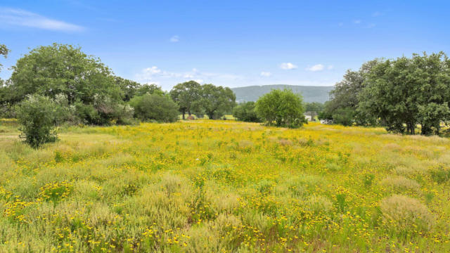 251 FRENCH JOHN CRK, BUCHANAN DAM, TX 78609, photo 2 of 30