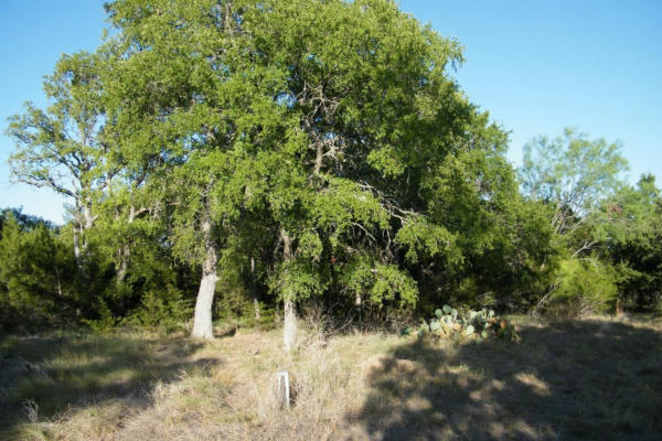 LOT 6 ROCKY HOLLOW ROAD, BURNET, TX 78611, photo 4 of 29