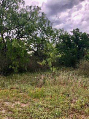 LOT 218 WESTERN DR, KINGSLAND, TX 78639, photo 3 of 4