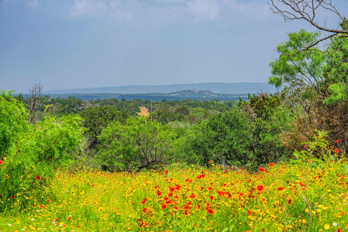 1320 COUNTY ROAD 306, LLANO, TX 78643, photo 1 of 30