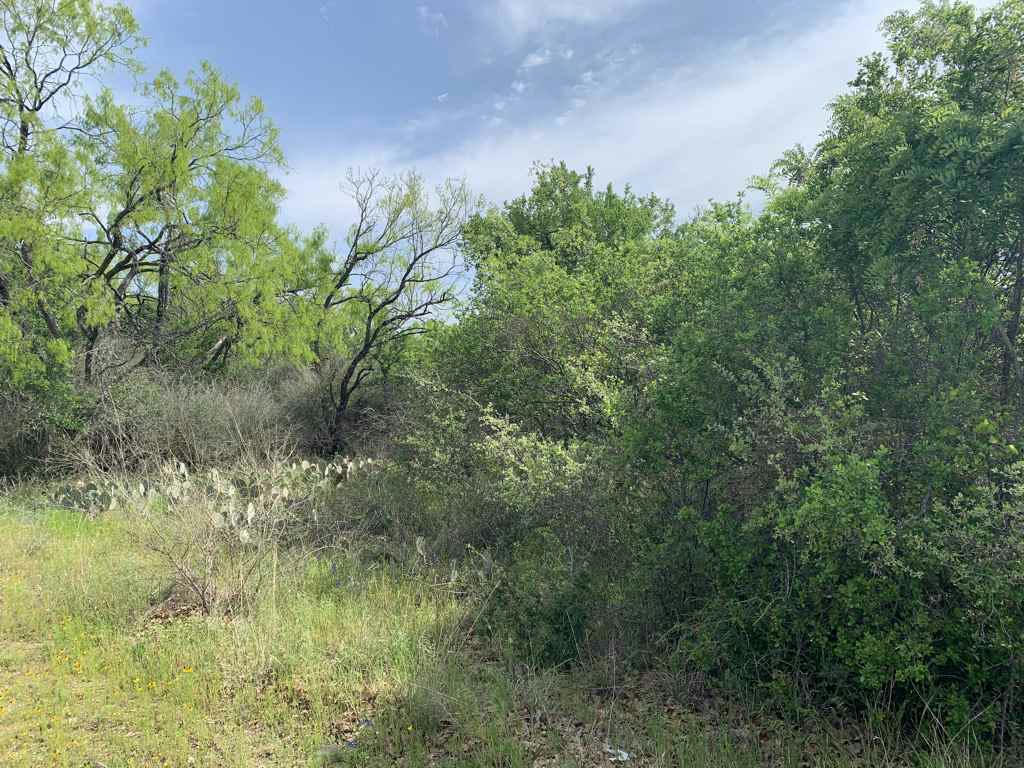 LOT 218 WESTERN DR, KINGSLAND, TX 78639, photo 1 of 4